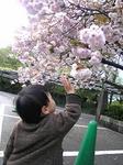 4月24日上野公園.jpg